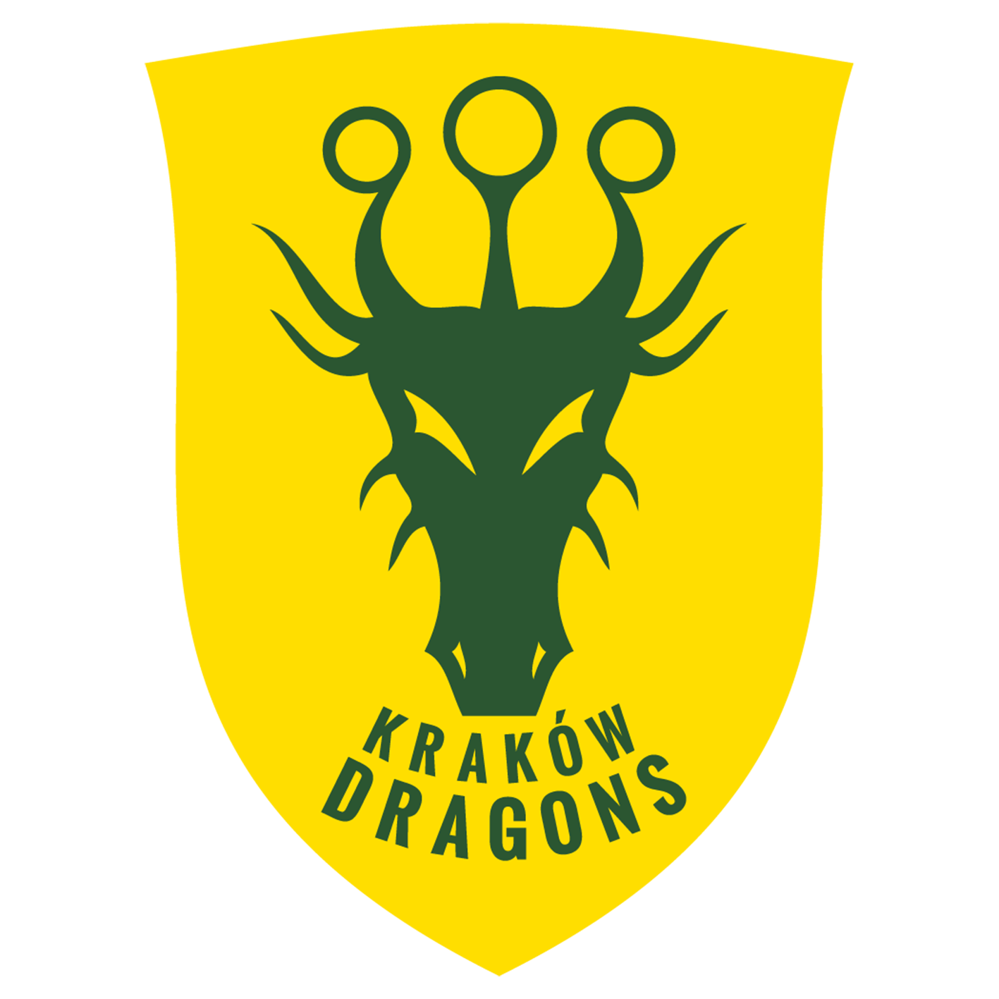 Kraków Dragons – Quadball Team